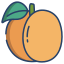 external apricot-south-africa-icongeek26-linear-colour-icongeek26 icon