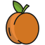external apricot-vegan-icongeek26-linear-colour-icongeek26 icon