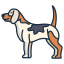 external beagle-dog-breeds-icongeek26-linear-colour-icongeek26 icon