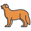 external bernese-mountain-dog-breeds-icongeek26-linear-colour-icongeek26 icon