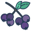 external berries-fruits-icongeek26-linear-colour-icongeek26 icon