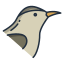 external bird-birds-icongeek26-linear-colour-icongeek26-1 icon