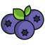 external blueberry-vegan-icongeek26-linear-colour-icongeek26 icon