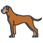 external boxer-dog-breeds-icongeek26-linear-colour-icongeek26 icon