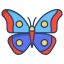 external butterfly-bugs-and-insects-icongeek26-linear-colour-icongeek26 icon