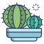 external cactus-cactus-icongeek26-linear-colour-icongeek26-2 icon