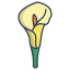 external calla-lily-flower-icongeek26-linear-colour-icongeek26 icon