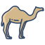 external camel-desert-icongeek26-linear-colour-icongeek26 icon