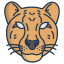 external cheetah-animal-faces-icongeek26-linear-colour-icongeek26 icon