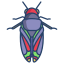 external cicada-bugs-and-insects-icongeek26-linear-colour-icongeek26 icon