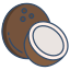 external coconut-india-icongeek26-linear-colour-icongeek26 icon
