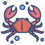 external crab-sea-life-icongeek26-linear-colour-icongeek26 icon