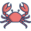 external crab-tropical-icongeek26-linear-colour-icongeek26 icon