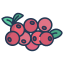external cranberry-fruits-icongeek26-linear-colour-icongeek26 icon
