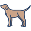 external dog-animal-body-icongeek26-linear-colour-icongeek26 icon