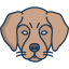 external dog-animal-faces-icongeek26-linear-colour-icongeek26 icon