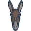 external donkey-animal-faces-icongeek26-linear-colour-icongeek26 icon