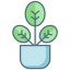 external plant-indoor-plants-icongeek26-linear-colour-icongeek26-1 icon