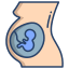 external pregnancy-pregnancy-amp-maternity-icongeek26-linear-colour-icongeek26 icon