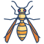 external wasp-bugs-and-insects-icongeek26-linear-colour-icongeek26 icon