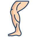external Leg-human-body-parts-icongeek26-linear-colour-icongeek26 icon