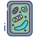 external Plant-Cell-biology-icongeek26-linear-colour-icongeek26-2 icon