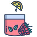 external Raspberry-Juice-fruit-juice-icongeek26-linear-colour-icongeek26 icon