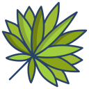 external Sabal-Palm-Leaf-leaf-icongeek26-linear-colour-icongeek26 icon