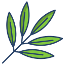 external Sage-Leaf-leaf-icongeek26-linear-colour-icongeek26 icon
