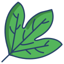external Sassafras-Leaf-leaf-icongeek26-linear-colour-icongeek26 icon
