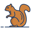 external Squirrel-canada-icongeek26-linear-colour-icongeek26 icon