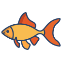 external Tetra-Goldfish-fishes-icongeek26-linear-colour-icongeek26 icon