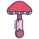 external Toadstool-mushroom-icongeek26-linear-colour-icongeek26 icon