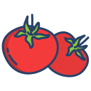 external Tomato-italy-icongeek26-linear-colour-icongeek26 icon