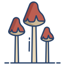 external Trippy-Mushrooms-mushroom-icongeek26-linear-colour-icongeek26 icon