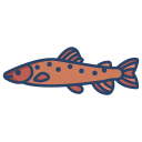 external Trout-Fish-fishes-icongeek26-linear-colour-icongeek26 icon