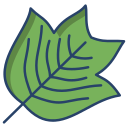 external Tulip-Tree-Leaf-leaf-icongeek26-linear-colour-icongeek26 icon