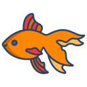 external Veiltail-Fish-fishes-icongeek26-linear-colour-icongeek26 icon