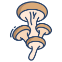 external Wild-Mushrooms-mushroom-icongeek26-linear-colour-icongeek26 icon