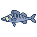 external Zander-Fish-fishes-icongeek26-linear-colour-icongeek26 icon