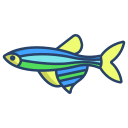 external Zebra-Danio-Fish-fishes-icongeek26-linear-colour-icongeek26 icon