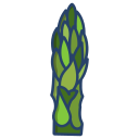 external asparagus-vegetables-icongeek26-linear-colour-icongeek26 icon