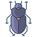 external beetle-bugs-and-insects-icongeek26-linear-colour-icongeek26 icon