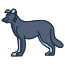 external border-collie-dog-breeds-icongeek26-linear-colour-icongeek26 icon