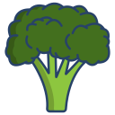 external broccoli-vegetables-icongeek26-linear-colour-icongeek26 icon