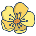 external buttercup-flower-icongeek26-linear-colour-icongeek26 icon