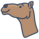 external camel-animal-head-icongeek26-linear-colour-icongeek26 icon