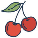 external cherry-fruits-icongeek26-linear-colour-icongeek26 icon