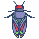 external cicada-bugs-and-insects-icongeek26-linear-colour-icongeek26 icon