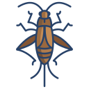 external cricket-bugs-and-insects-icongeek26-linear-colour-icongeek26 icon